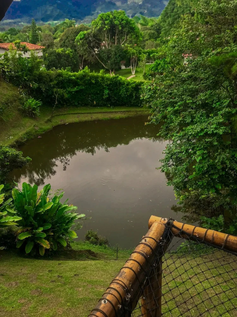 Room in Guest Room - Room With 2 Double Beds Number 14