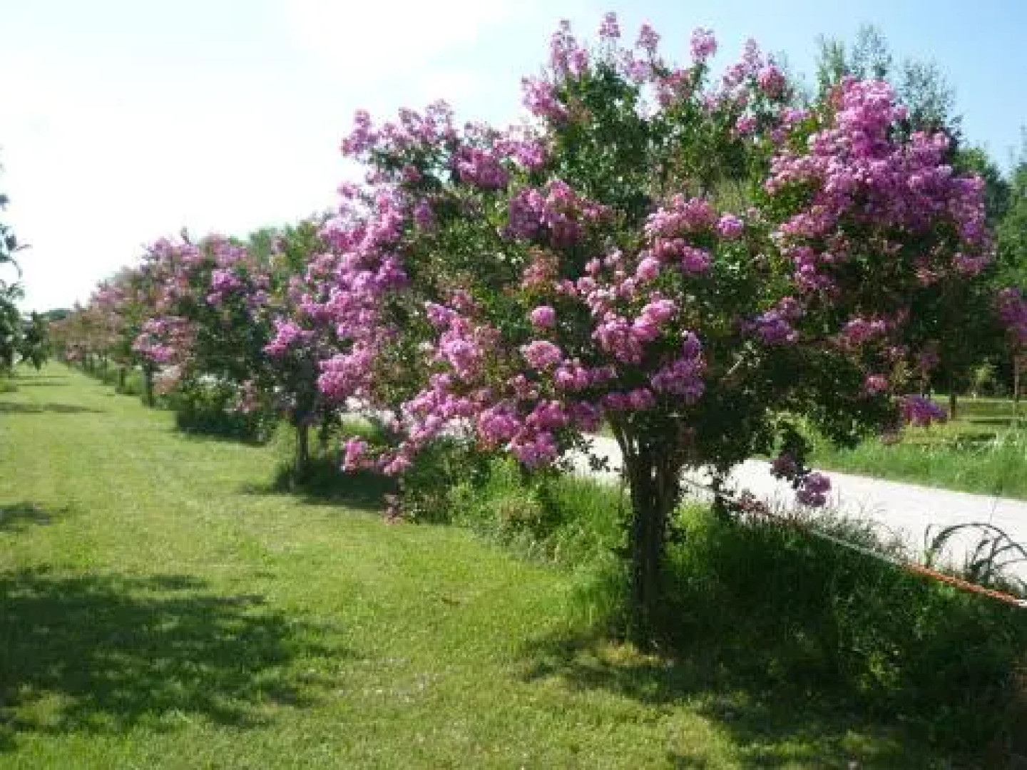 Affittacamere Maria Stella