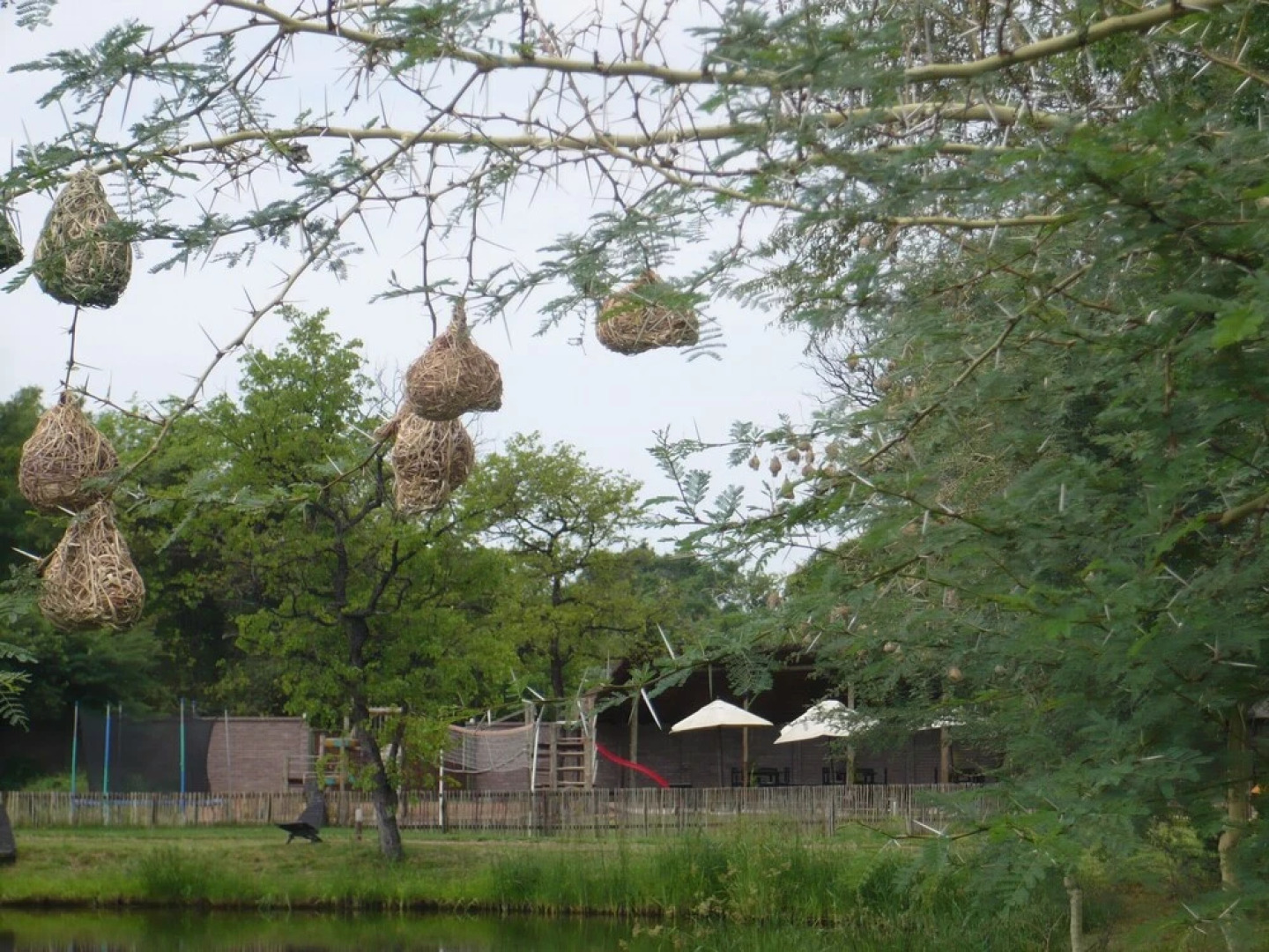 Luxury Holidayhome in Gated Estate Near Kruger Park and Golf