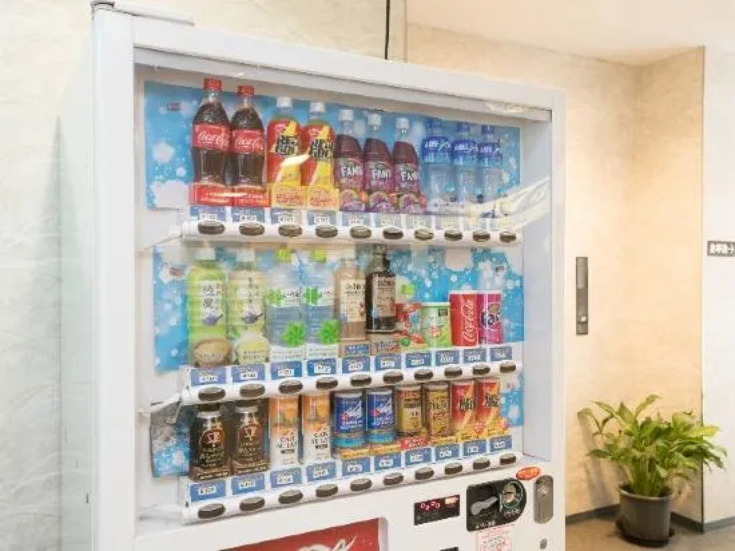 Oyo Ryokan Koijigahama Kuroshio Tahara Irago