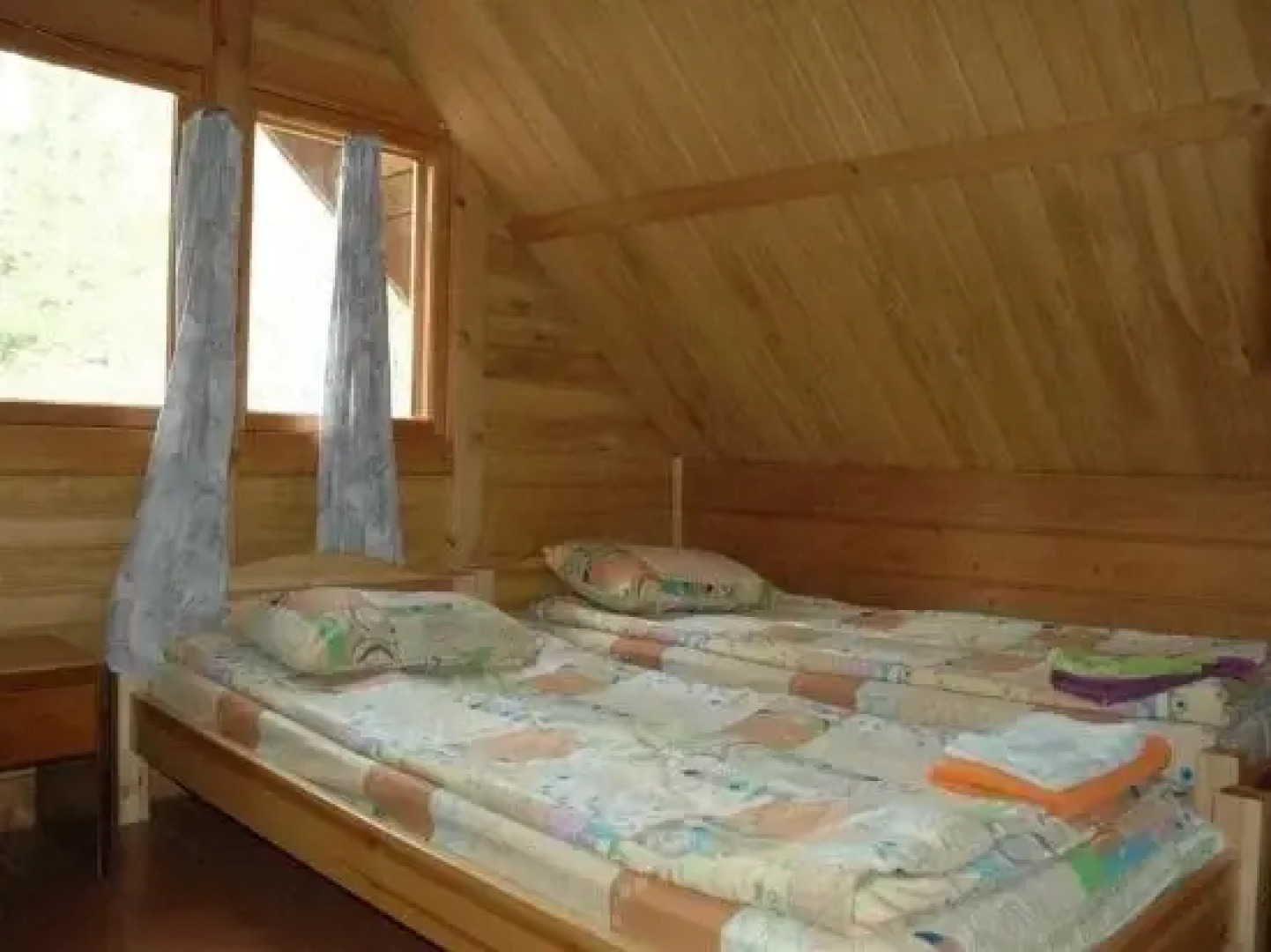 Lesnaya Baza Shishki