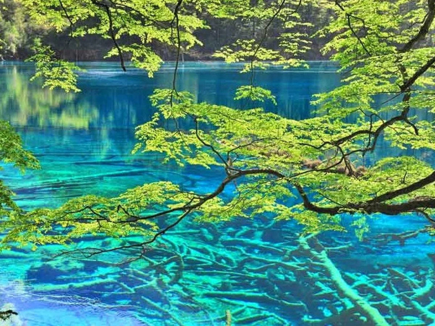 Sheraton Jiuzhaigou Resort