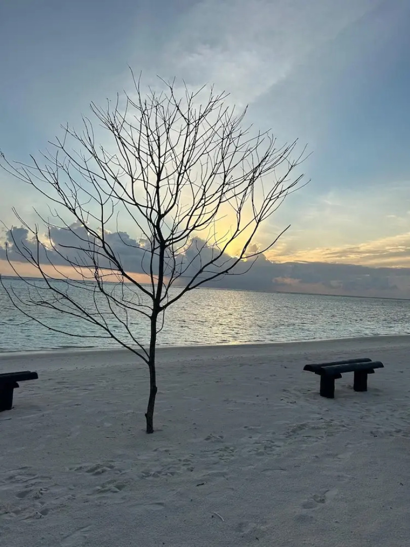 Отель Palm Rest