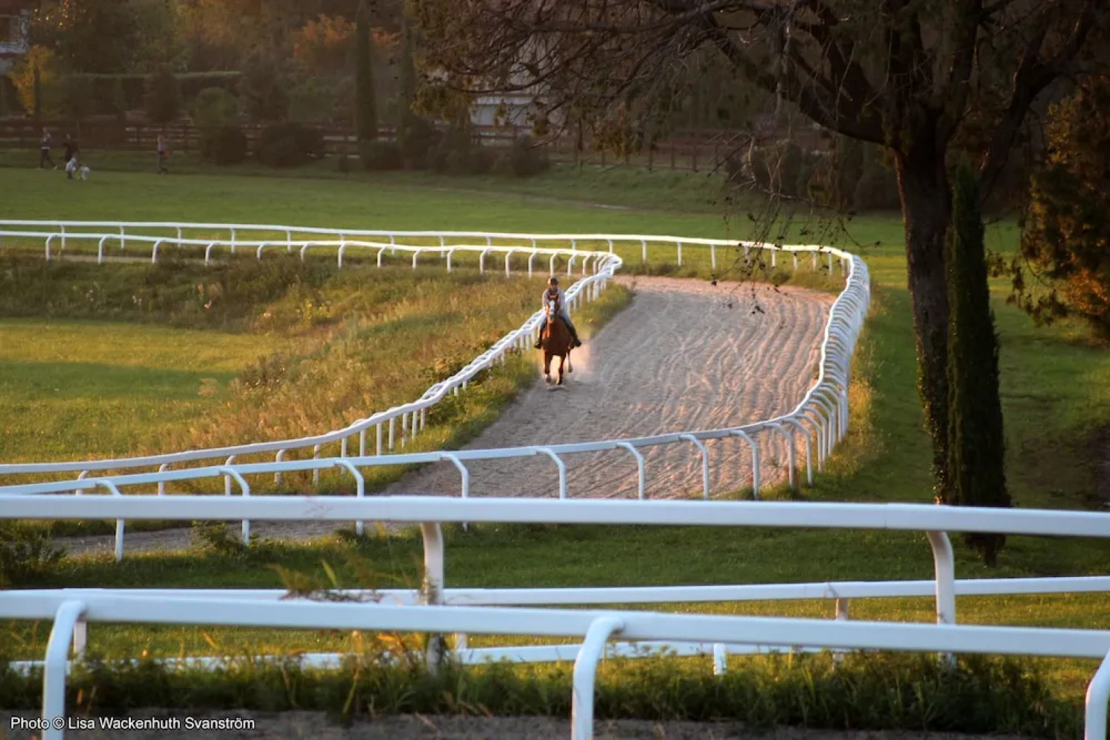 Hotel Le Foresterie Dei Piaceri Campestri