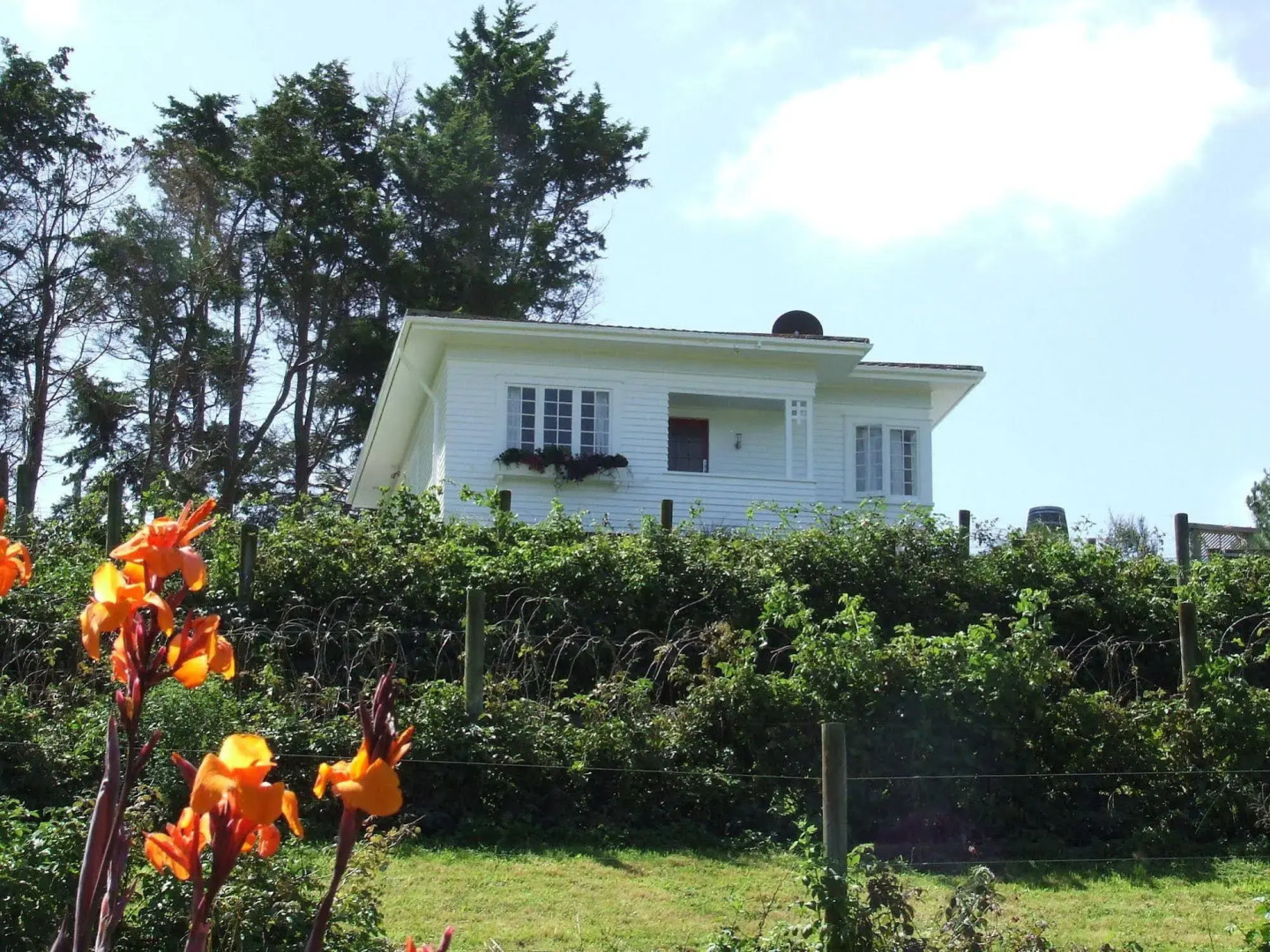 Runciman Berries and Emus B&B