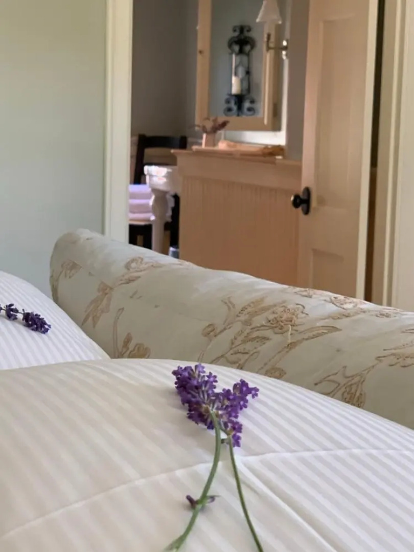 The Pebble Bed & Breakfast