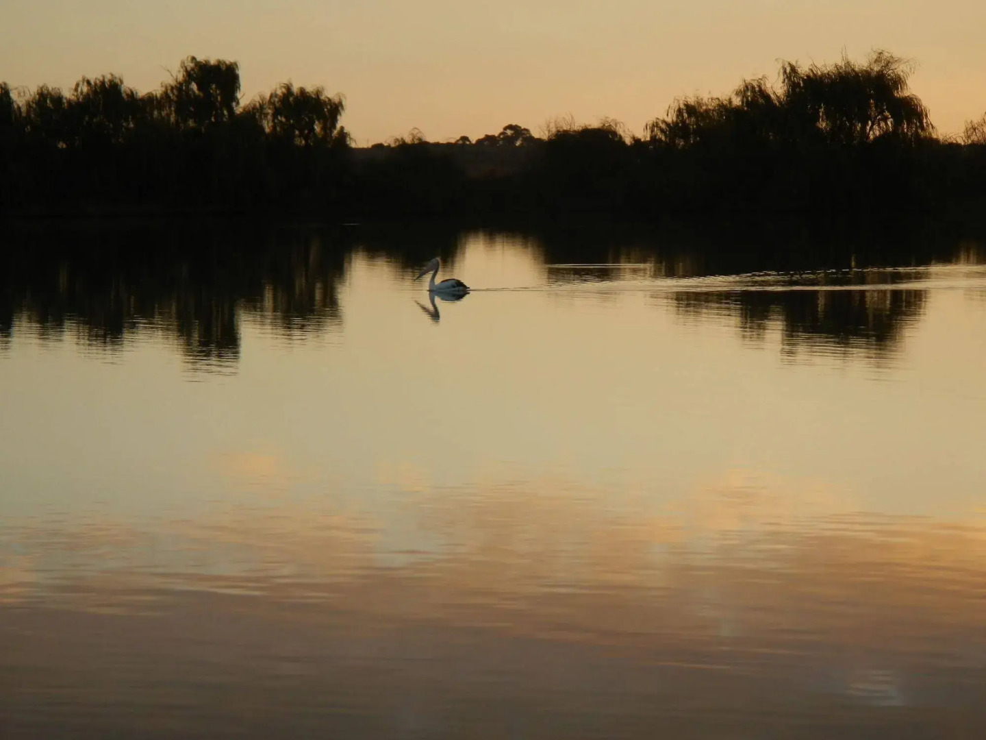 Washpool Retreat (Accommodation)