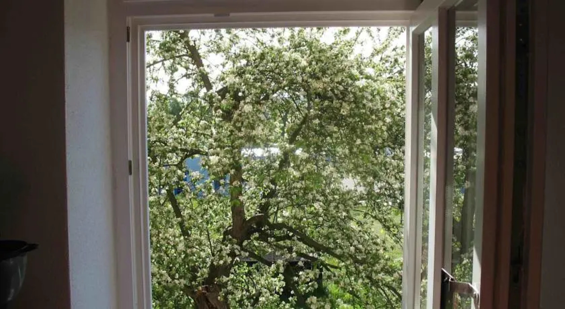 Appartement Zur Alten Schule