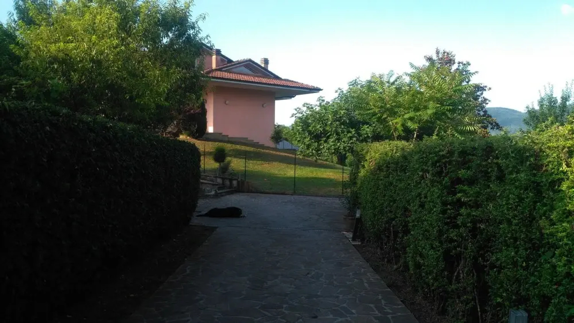 Il Folletto Dispettoso