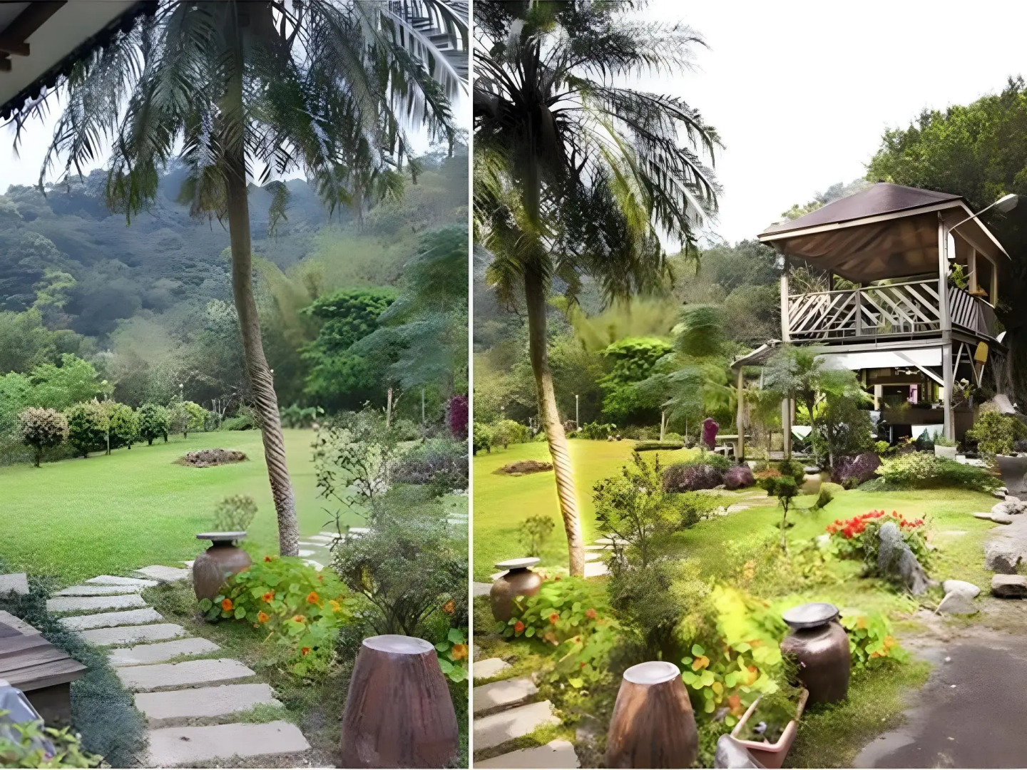 Taiwan Reishi Expert Bed and Breakfast