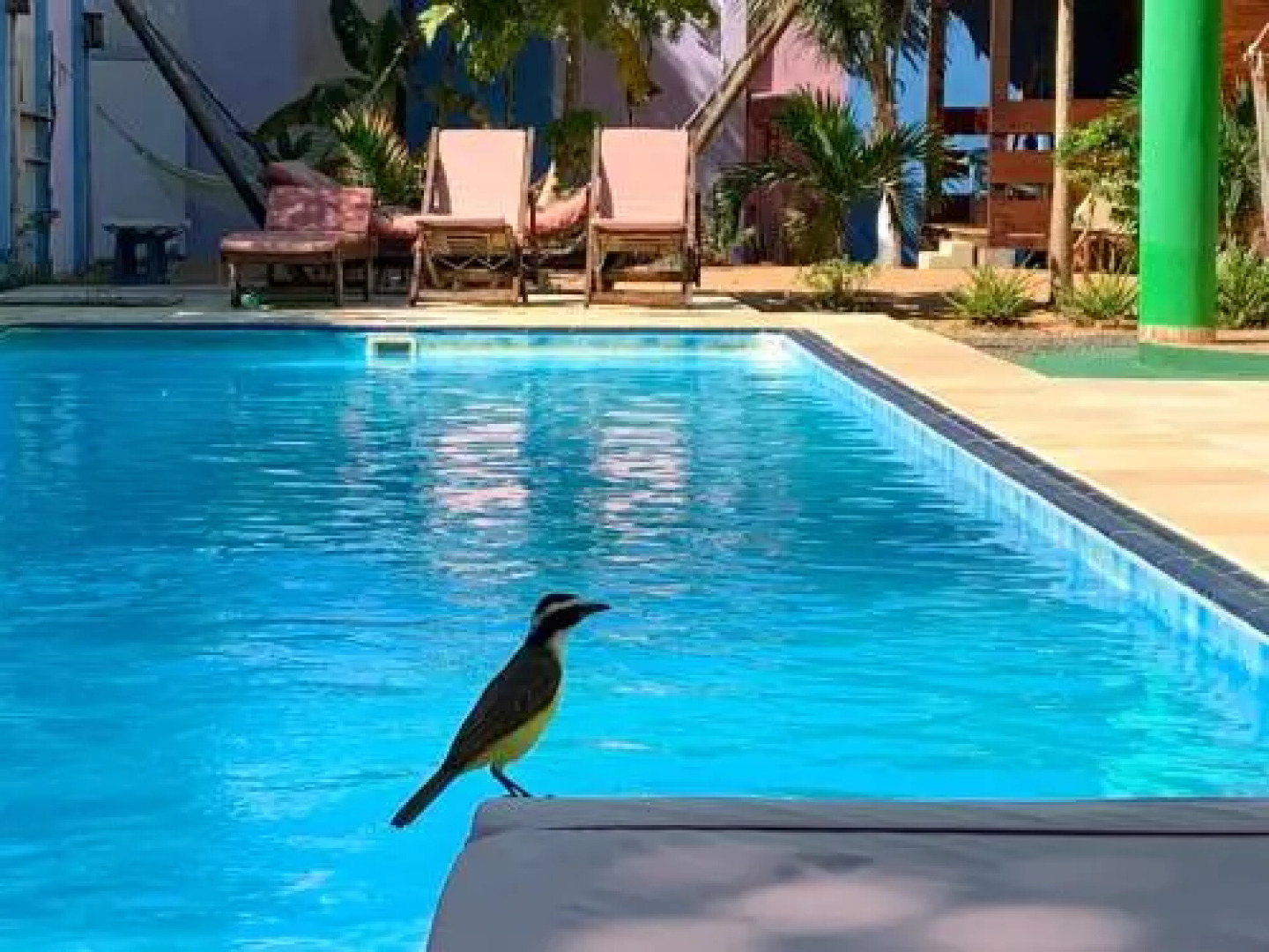 Pousada Janela da Cor