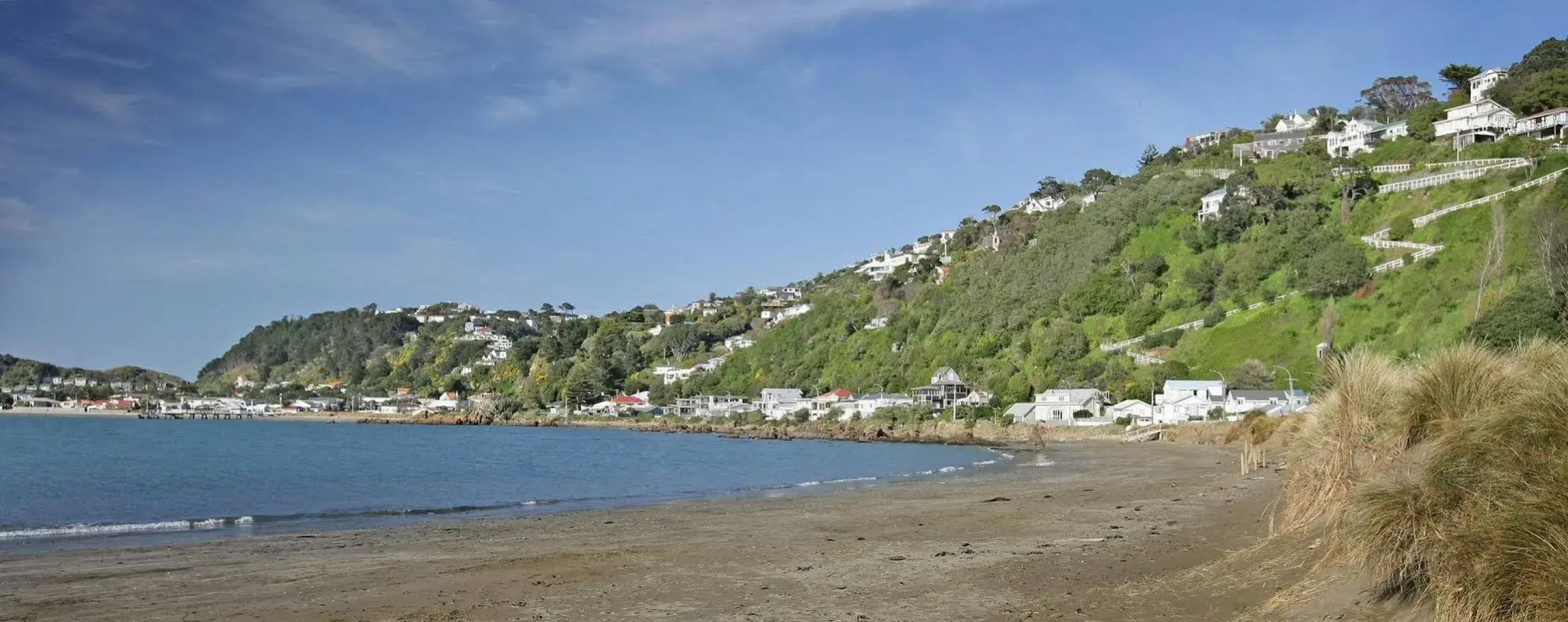 Beachfront Wellington Bed and Breakfast