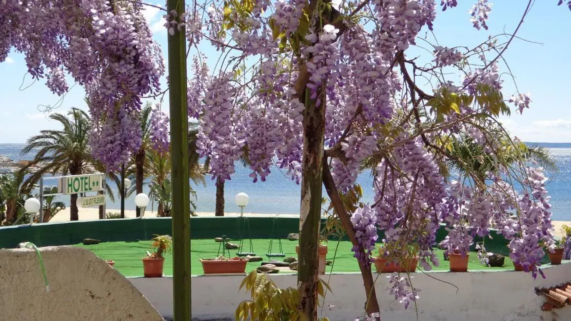 Hôtel L'ÎLOT FLEURI