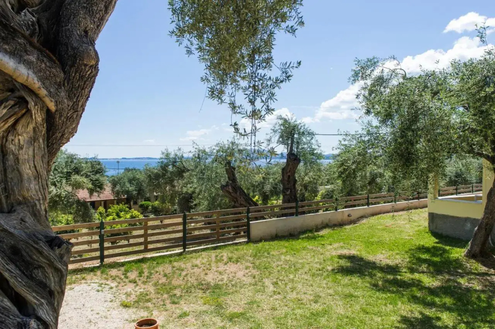 Renata Rooms & Studios