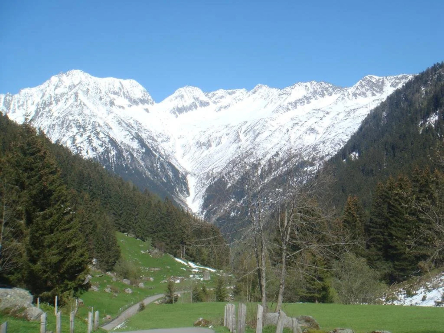 Ferienwohnung Haus Ryter