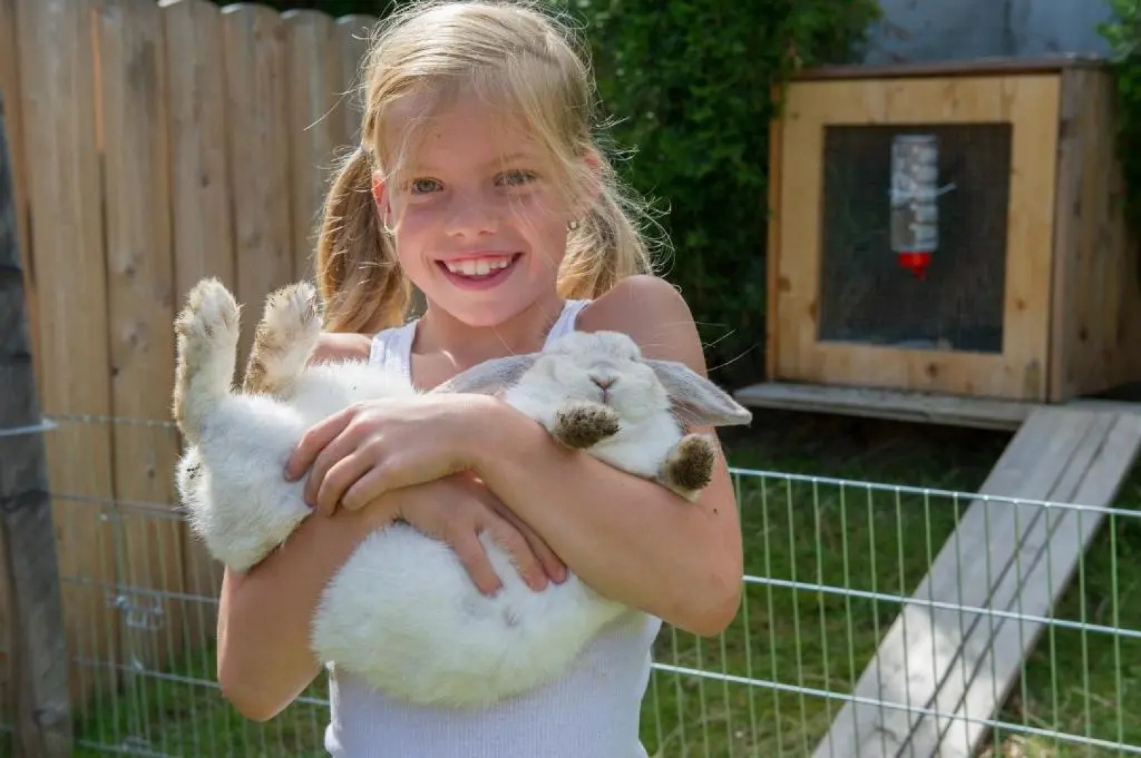 Ferienhaus Höllwart