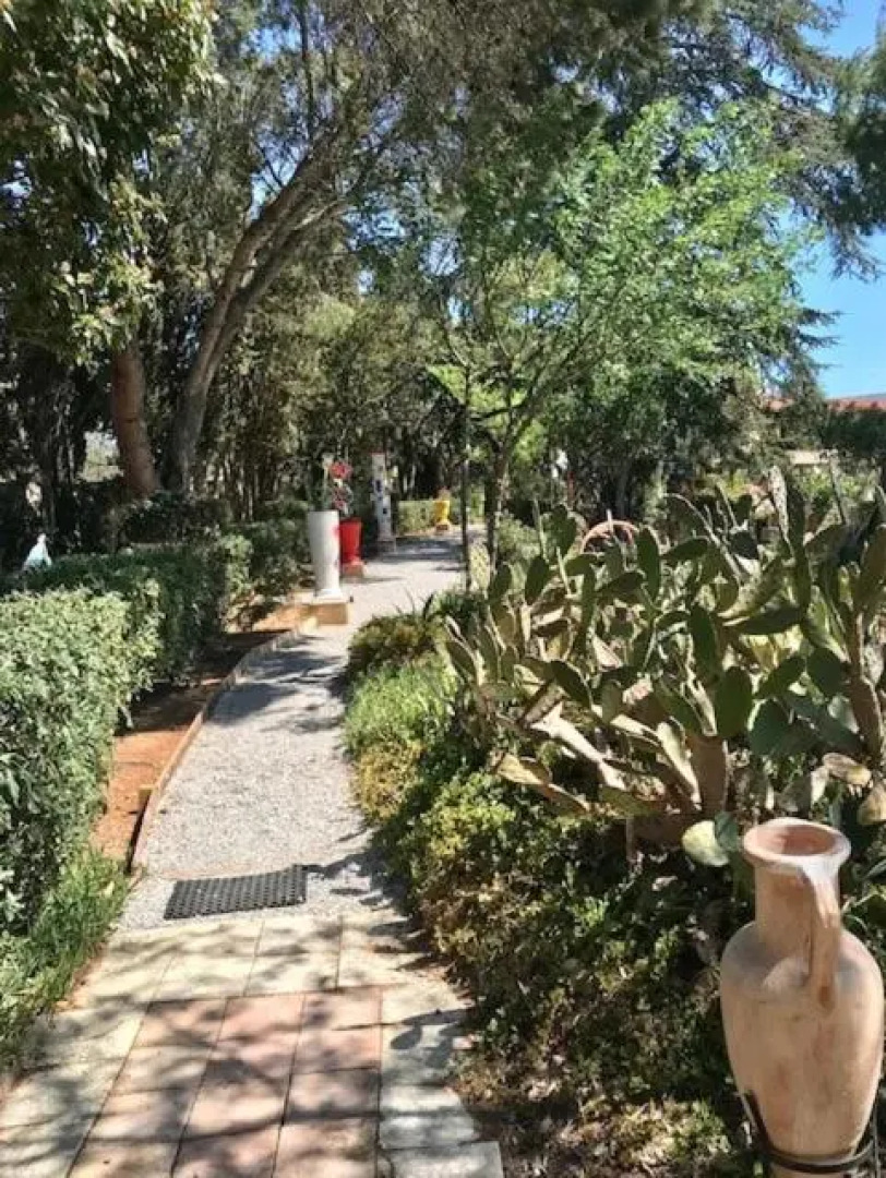 La Cacte E Singulie Re