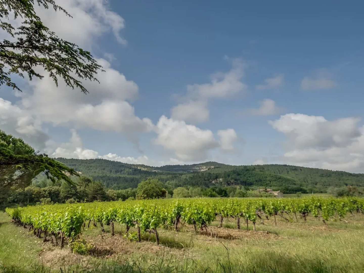 Secluded Holiday Home in Rustrel With Swimming Pool