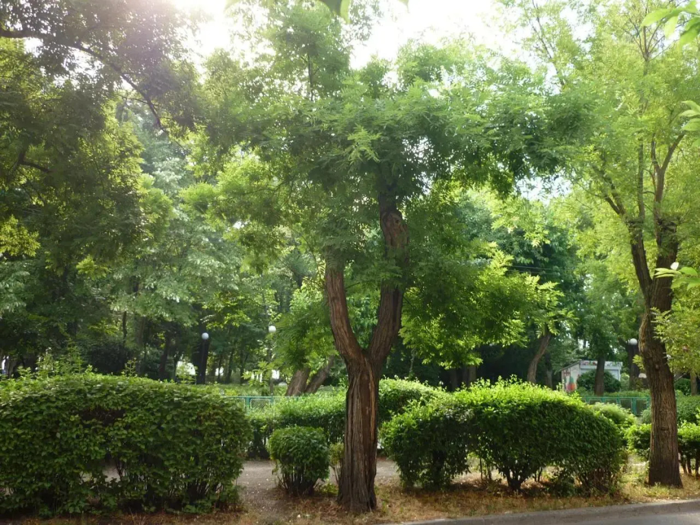 Sea Garden Plaza Apartment