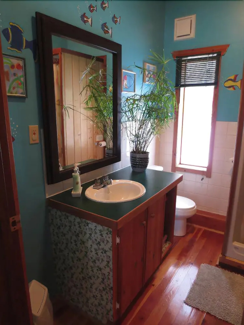 Blaeberry Mountain Lodge