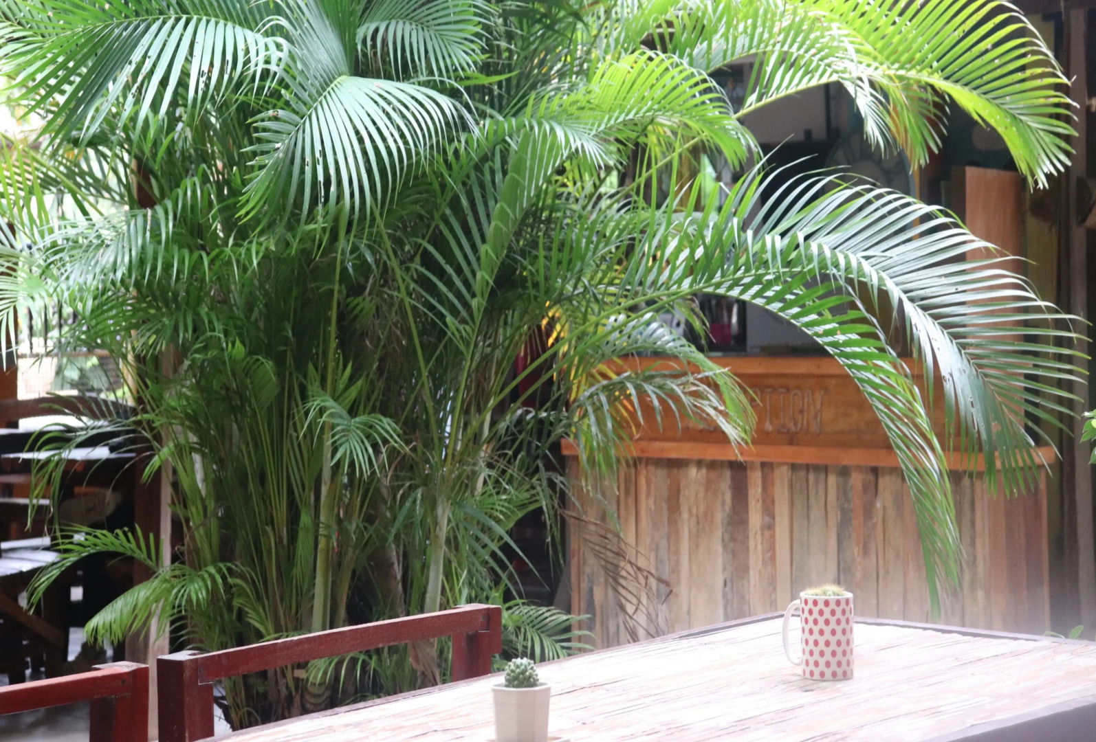 Trekker Camp Chiang Mai - Hostel