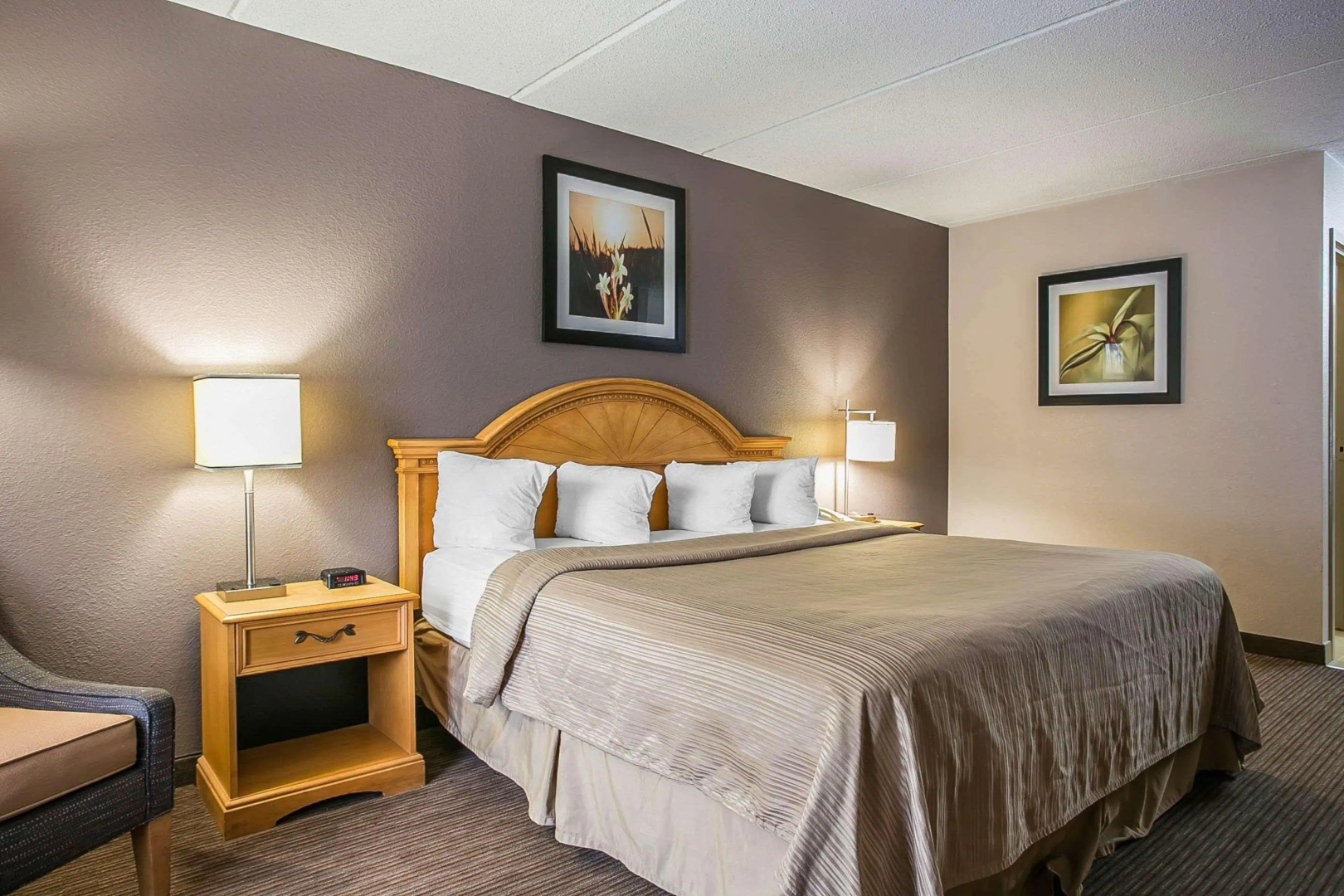 Quality Inn