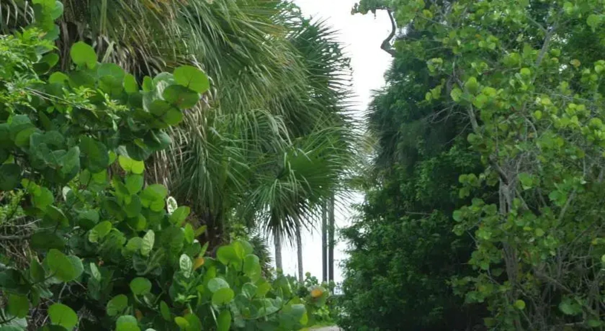 Casa Contenta of Little Gasparilla Island