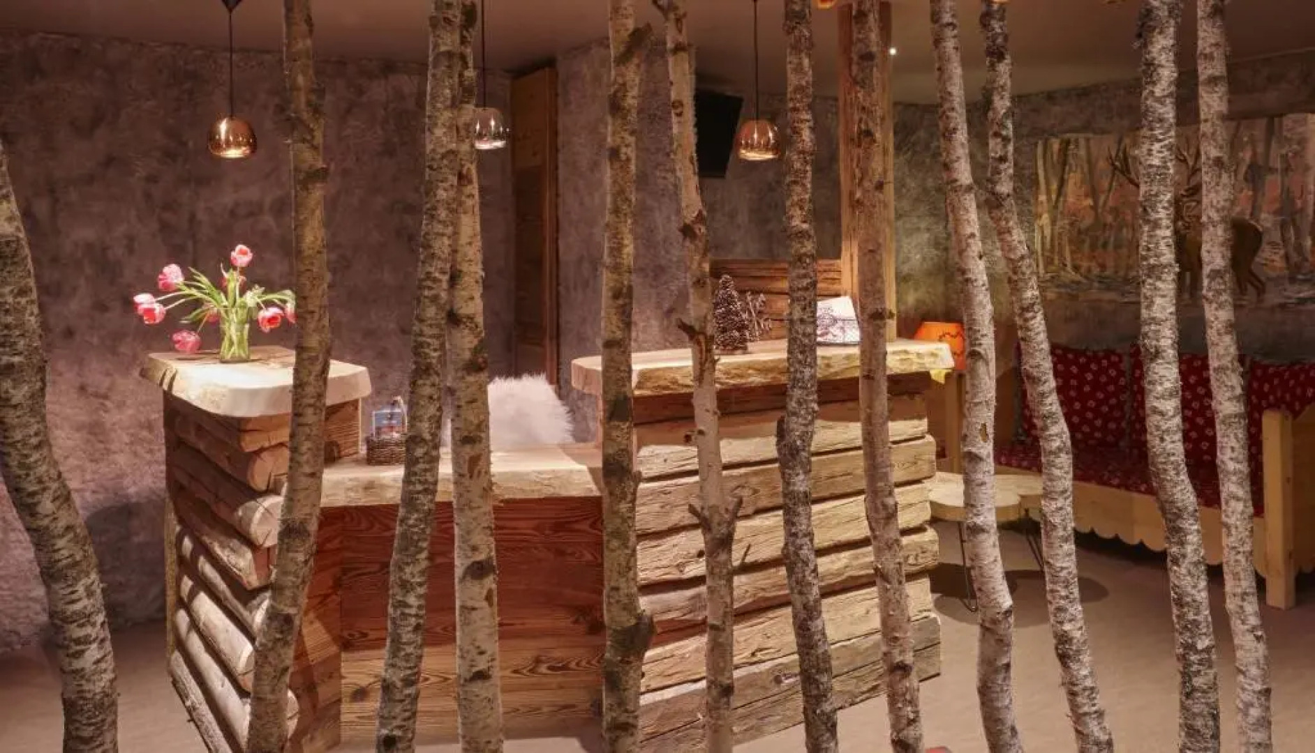 Lodge Chasse Montagne