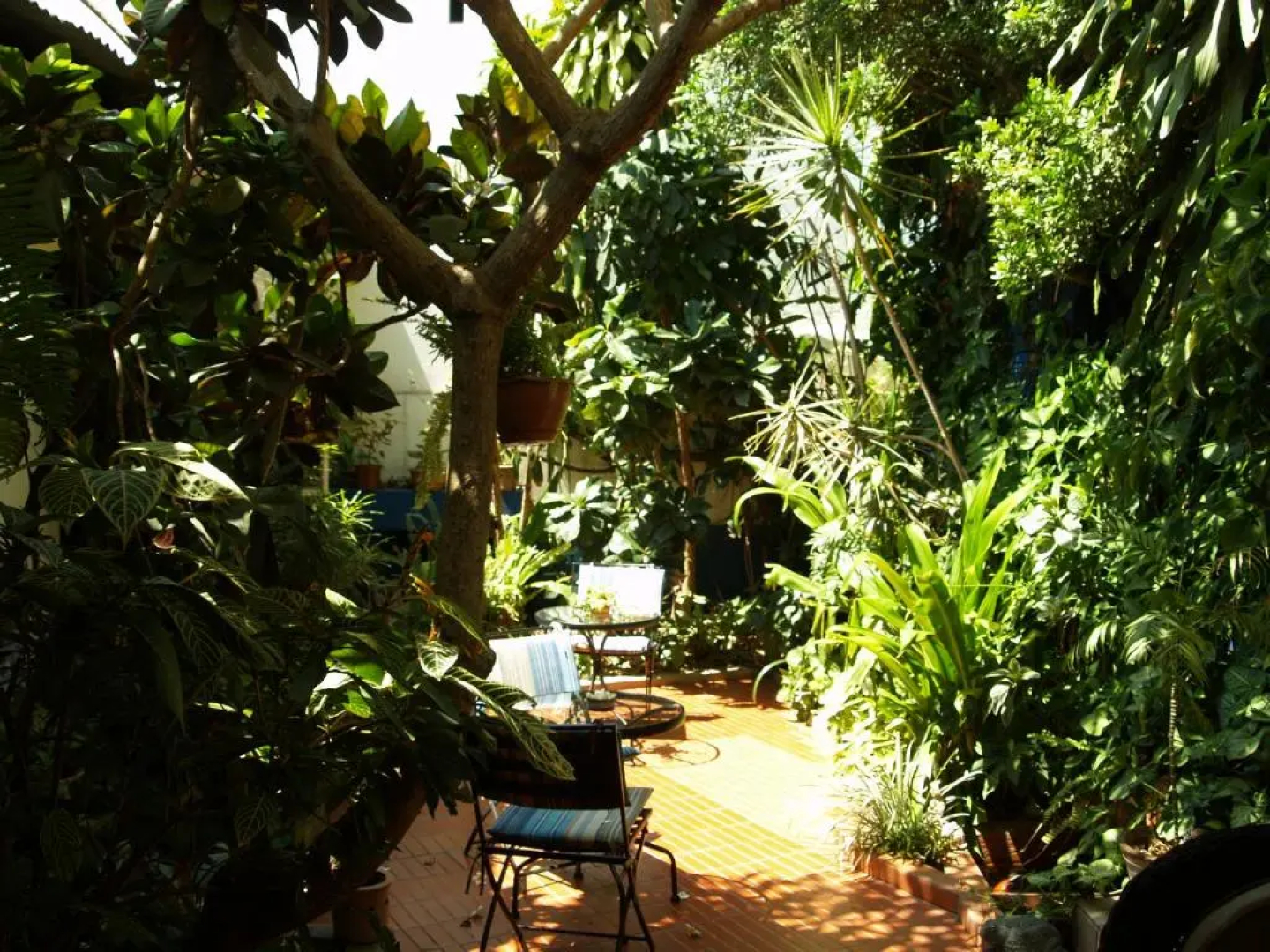 Palmeiras Guest House Maputo