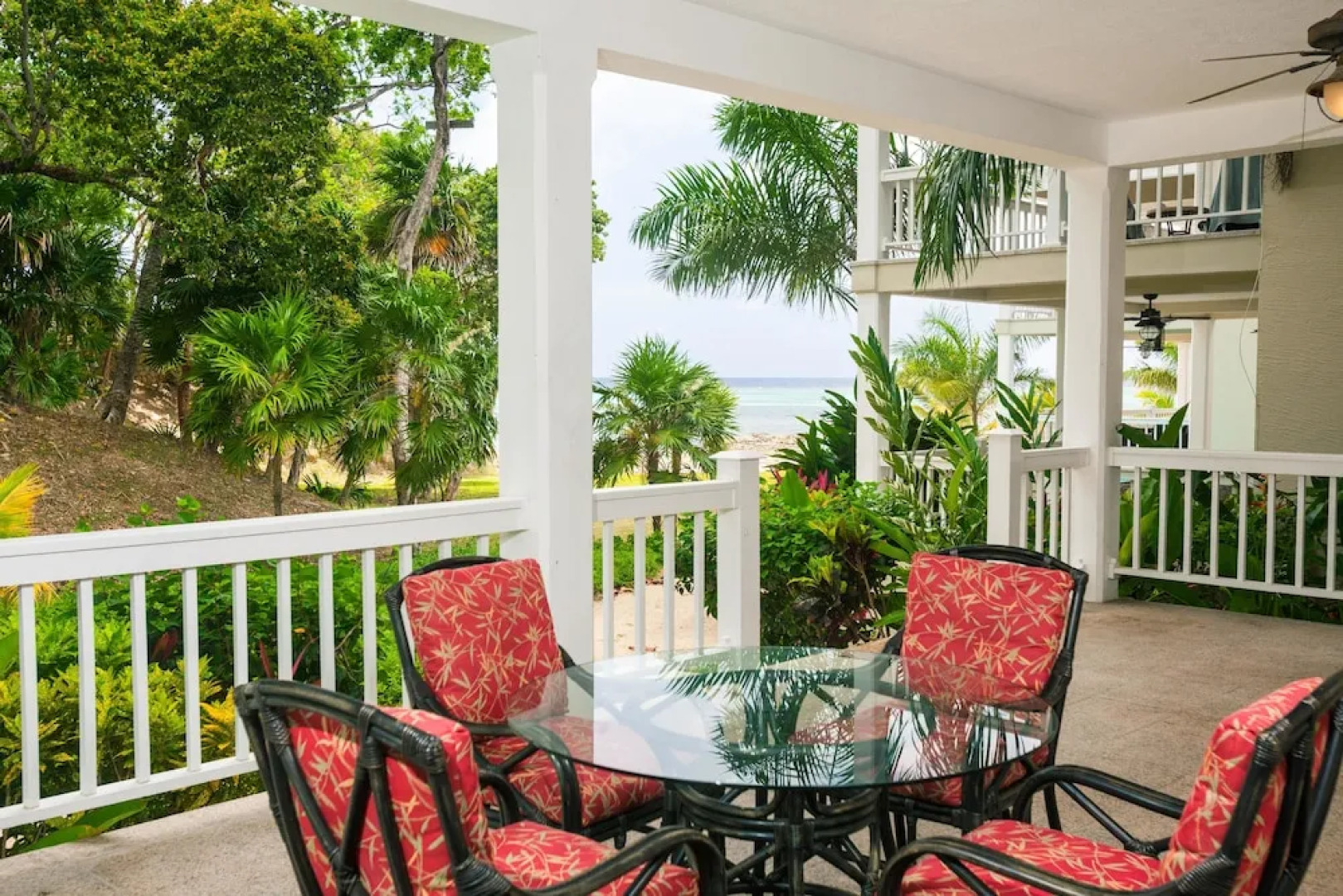 Lawson Rock Parrotfish 106