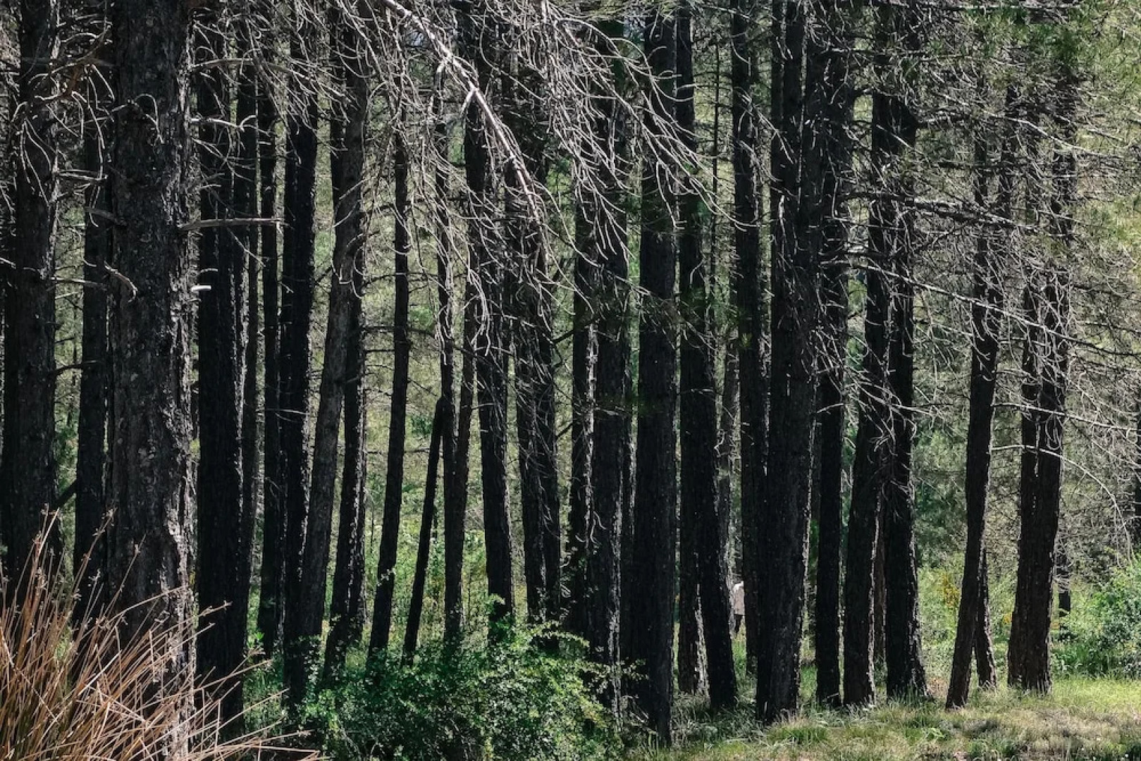 Antaviana Hospederia Rural Con Encanto