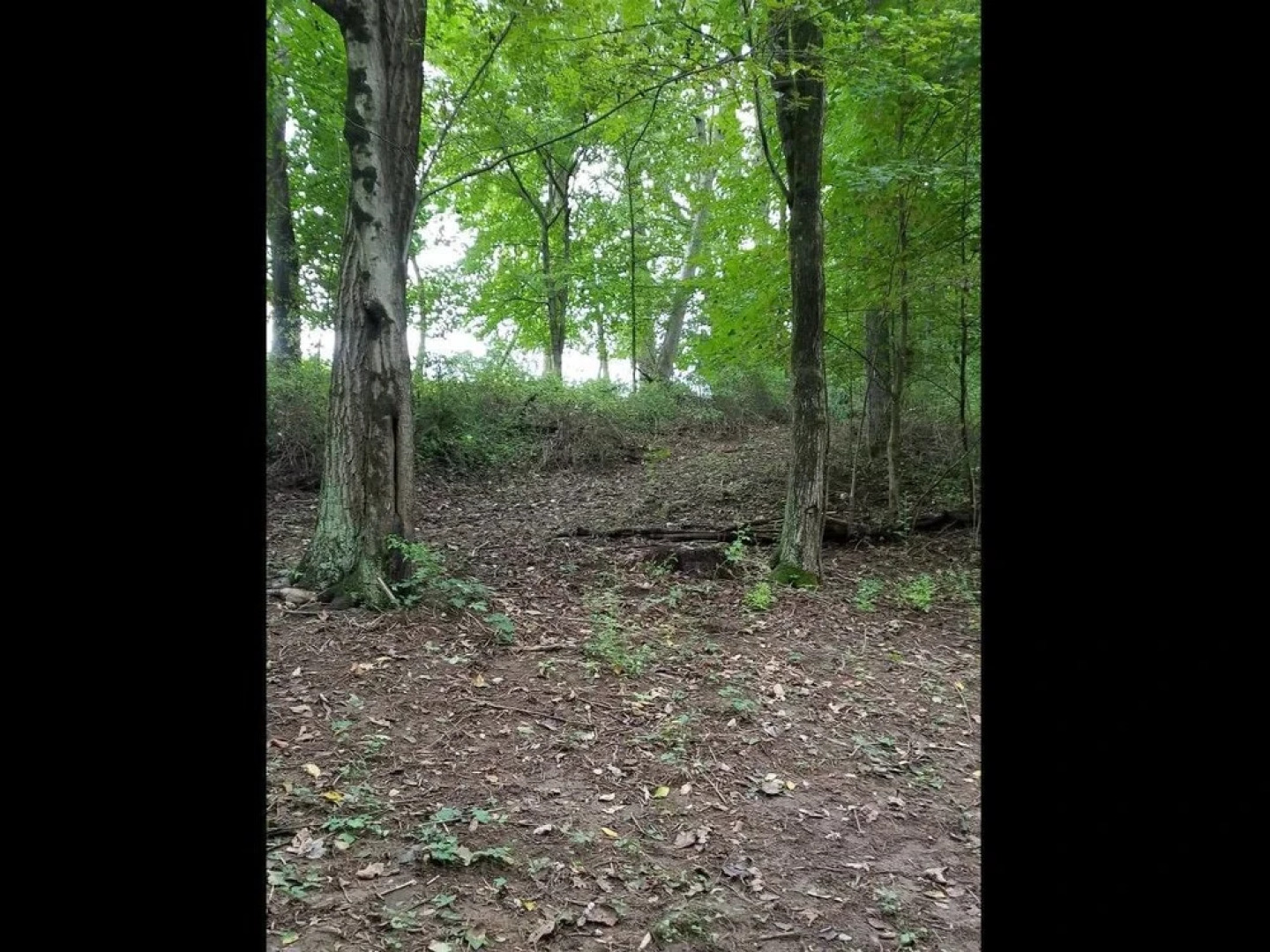 Tentrr - Peaceful by Pigeon Creek