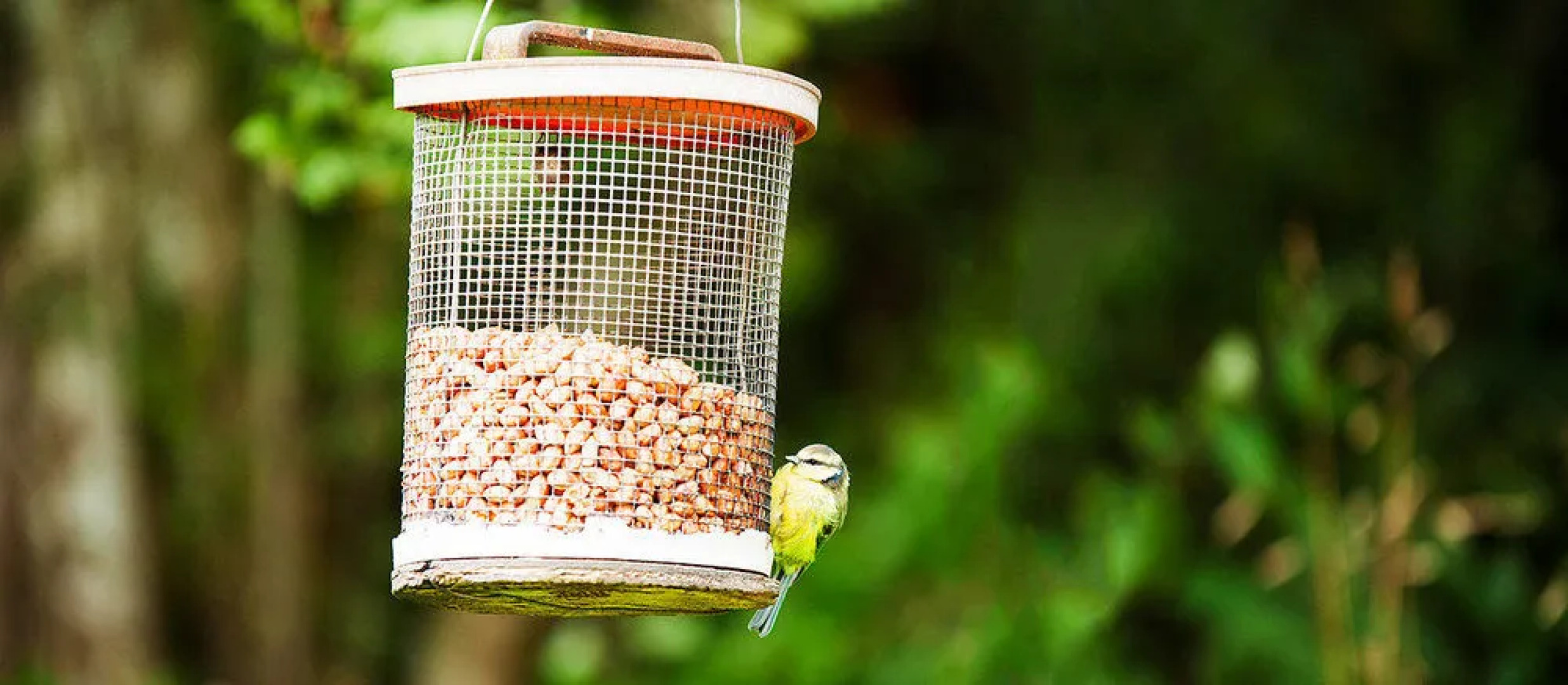 The Fat Lamb Country Inn and Nature Reserve