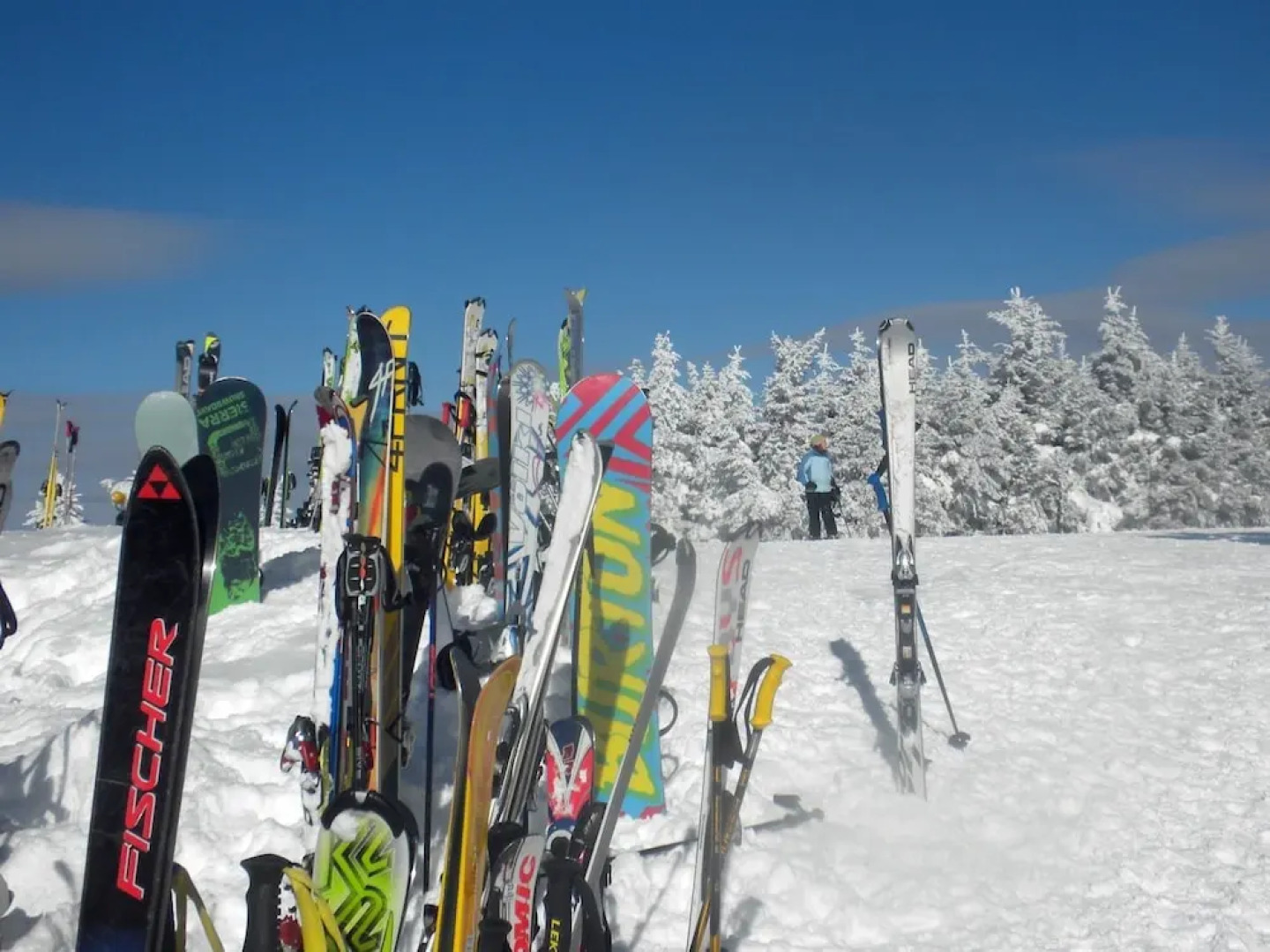 2 Br: Soaring Eagle 202