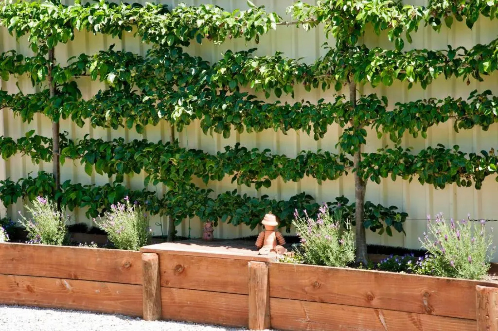 117 Higgs - Room With a View