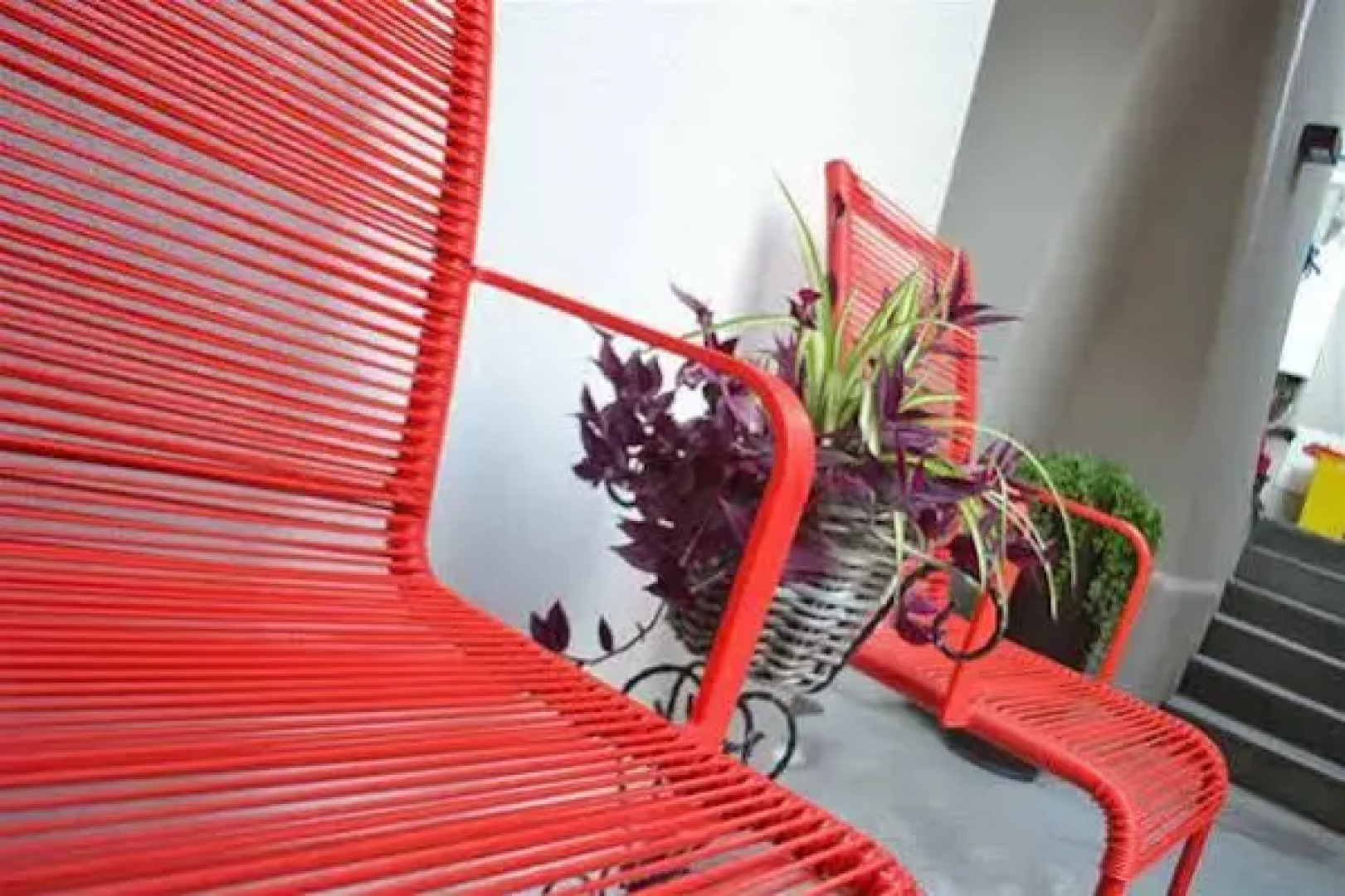 La Salvia e Il Lampone