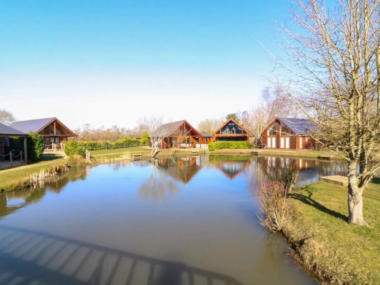 The Green Monkey (Adults Only)