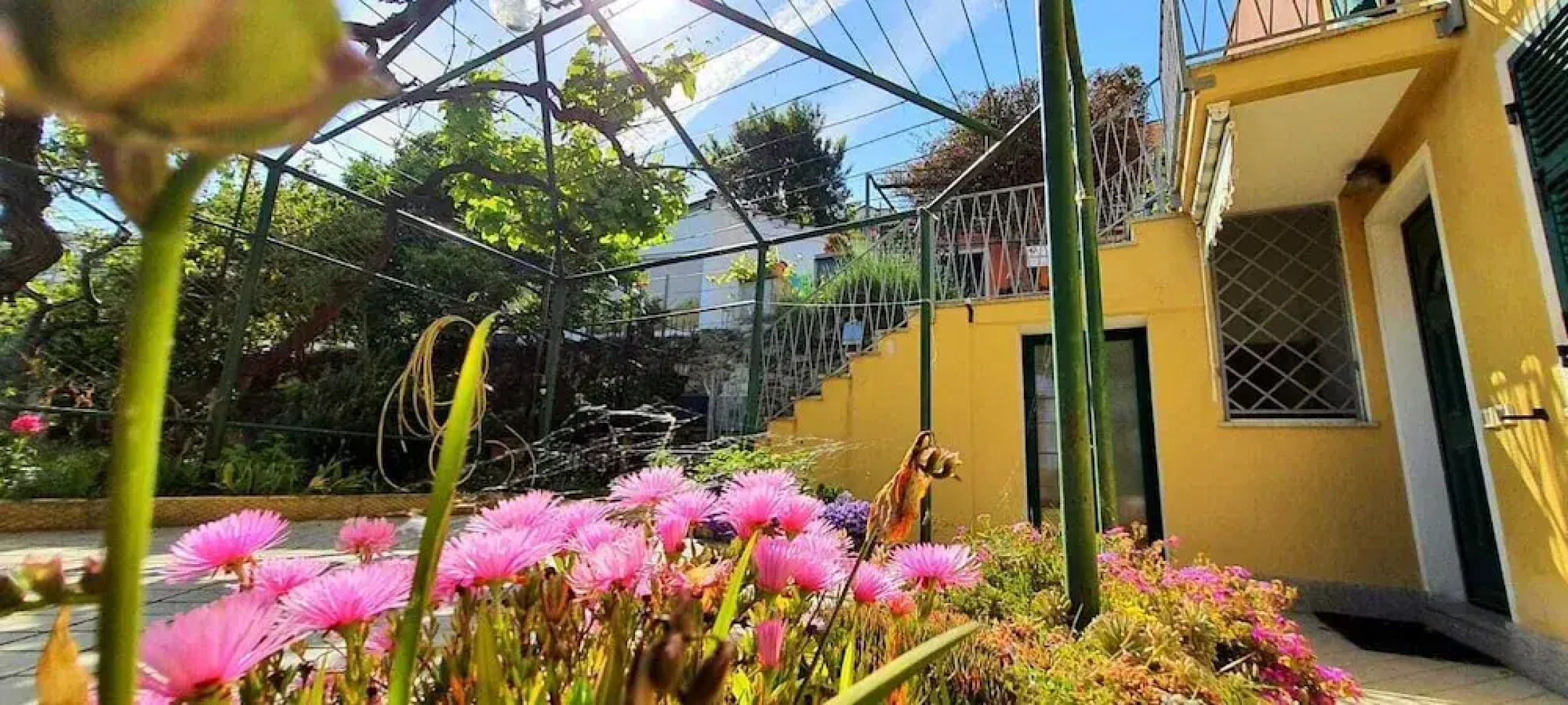 Villa Mimosa #Bluchalet