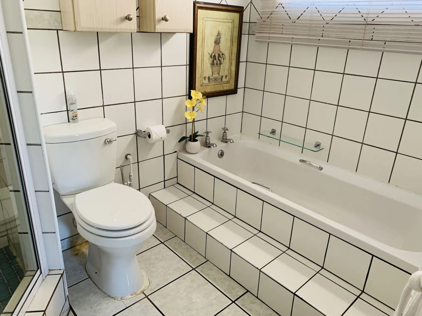 Ama Zulu Guesthouse and Safaris