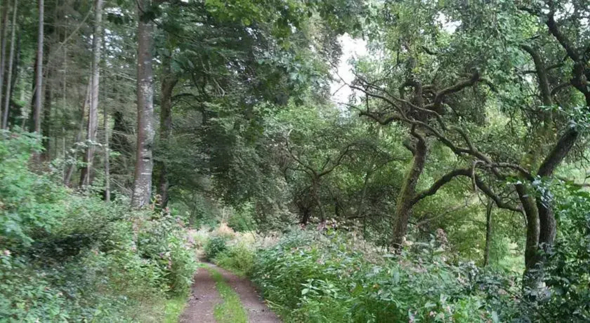 Old School Malberg I