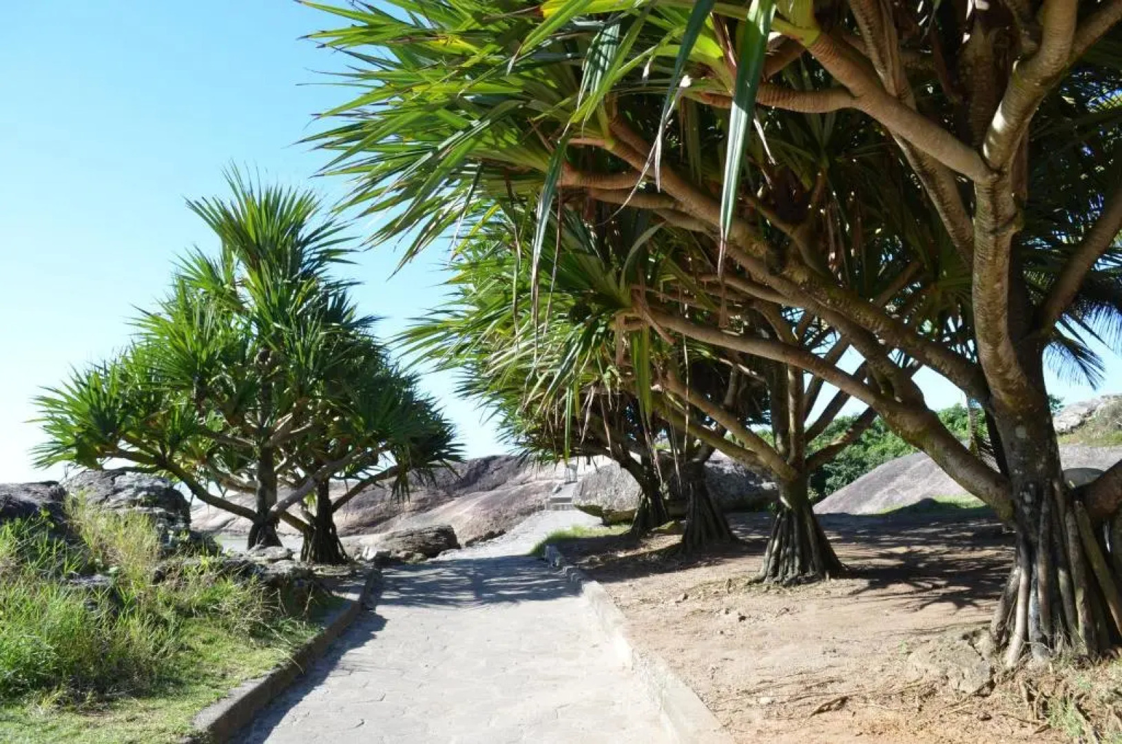 Pousada/Flat Praia Do Sonho