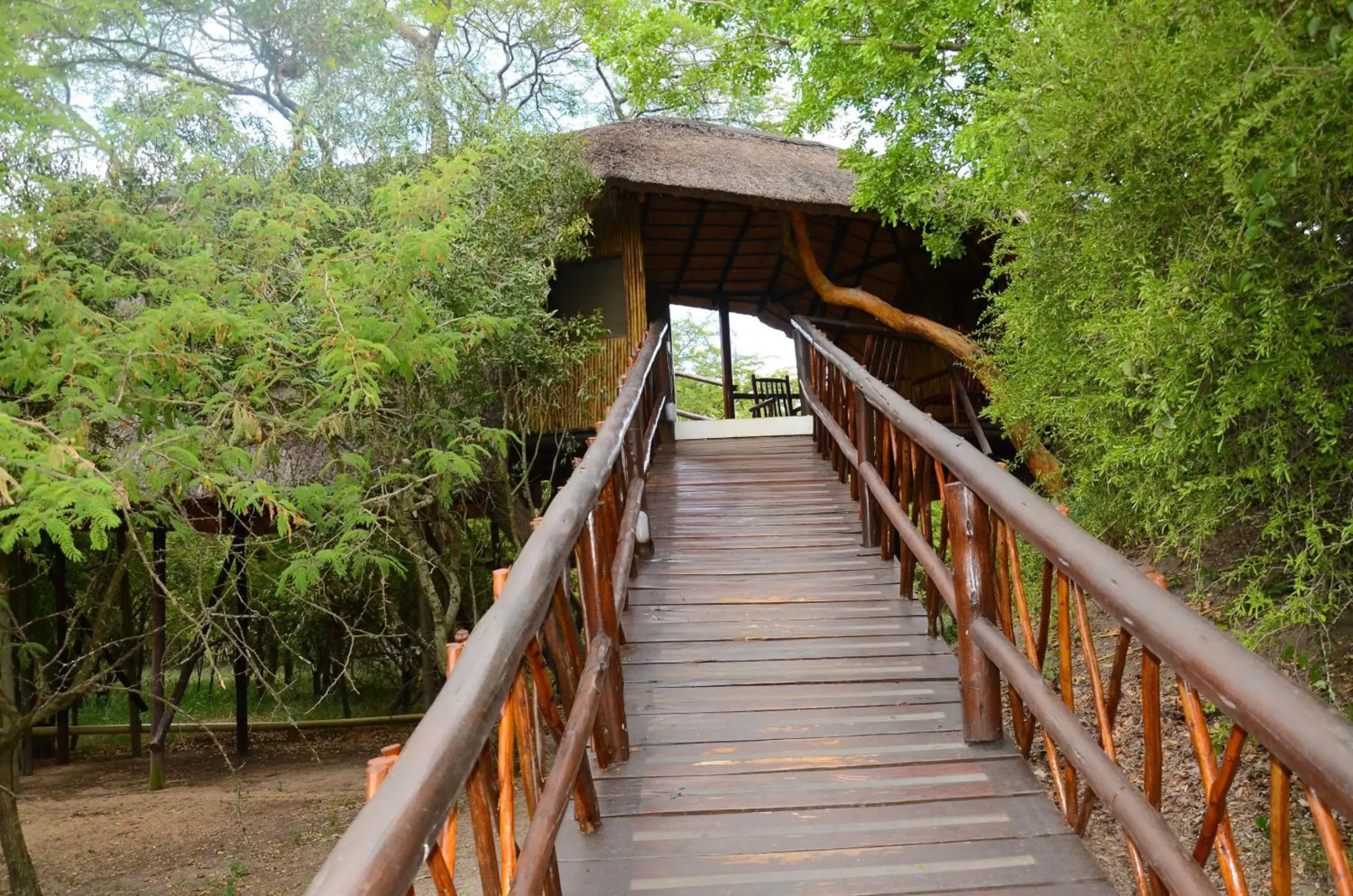 Pezulu Tree House Lodge