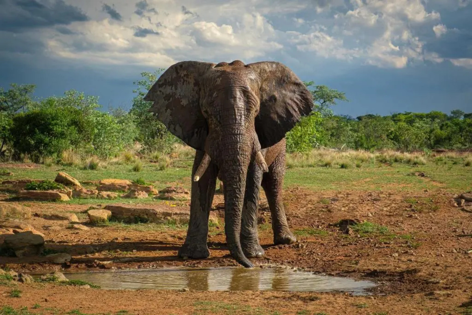 Nungubane Game Lodge