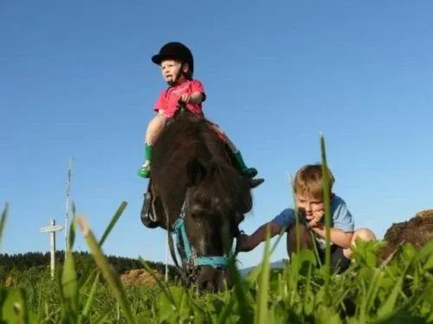 Almerhof - Waldferienhof Almer