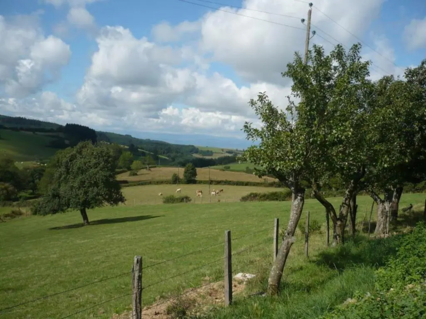 Gîte Saint-Cyr-de-Valorges, 5 pièces, 8 personnes - FR-1-496-17