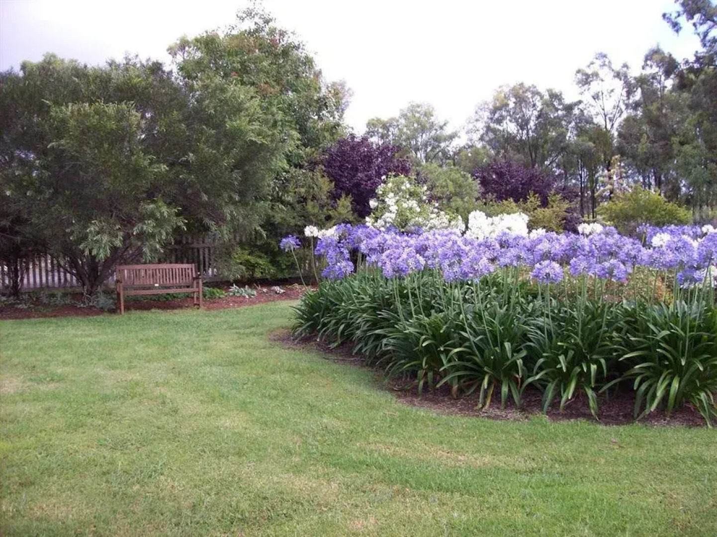 Starline Alpacas Farmstay Resort