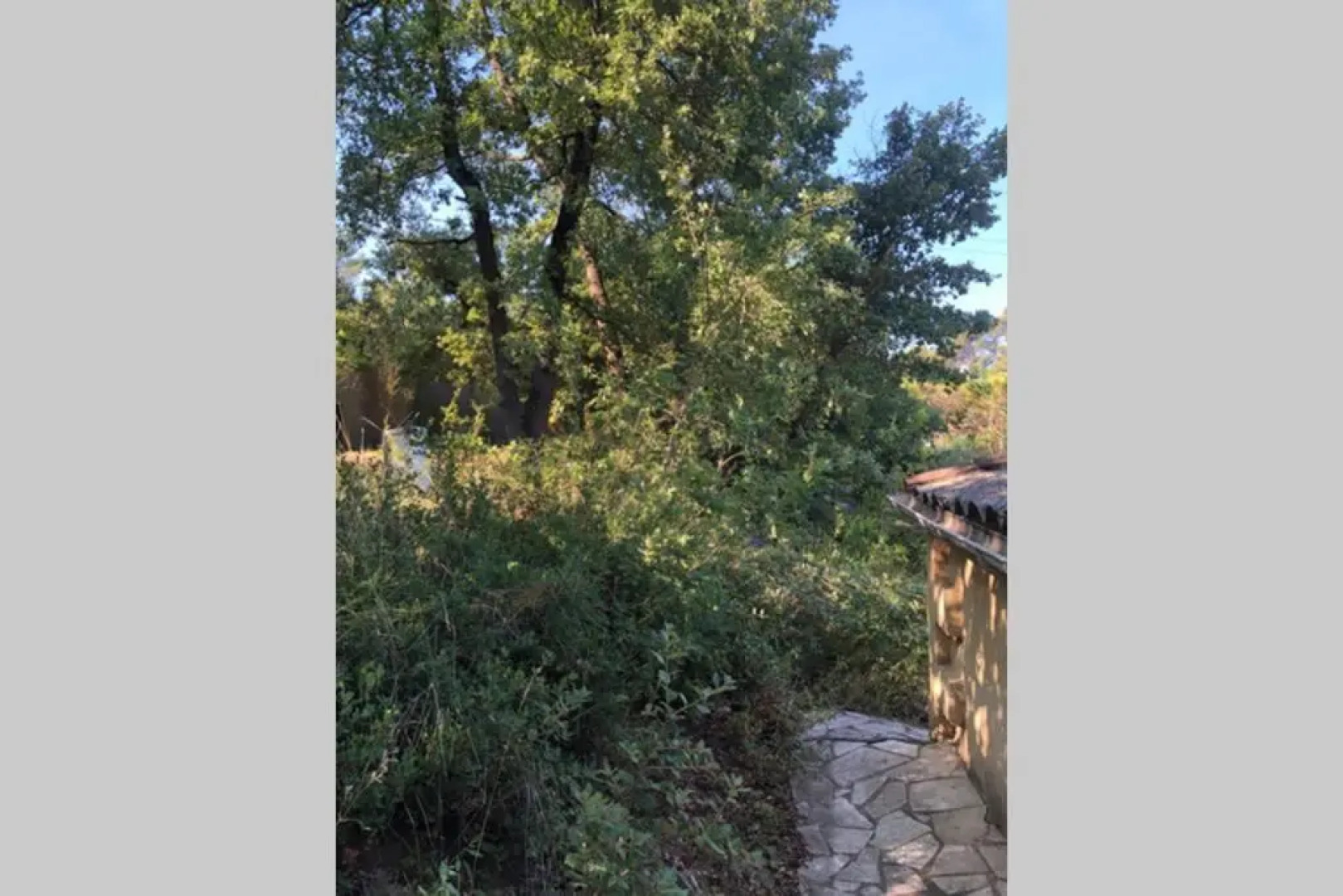 L’Escapade. Entre Aix et Marseille, studio pleine nature.