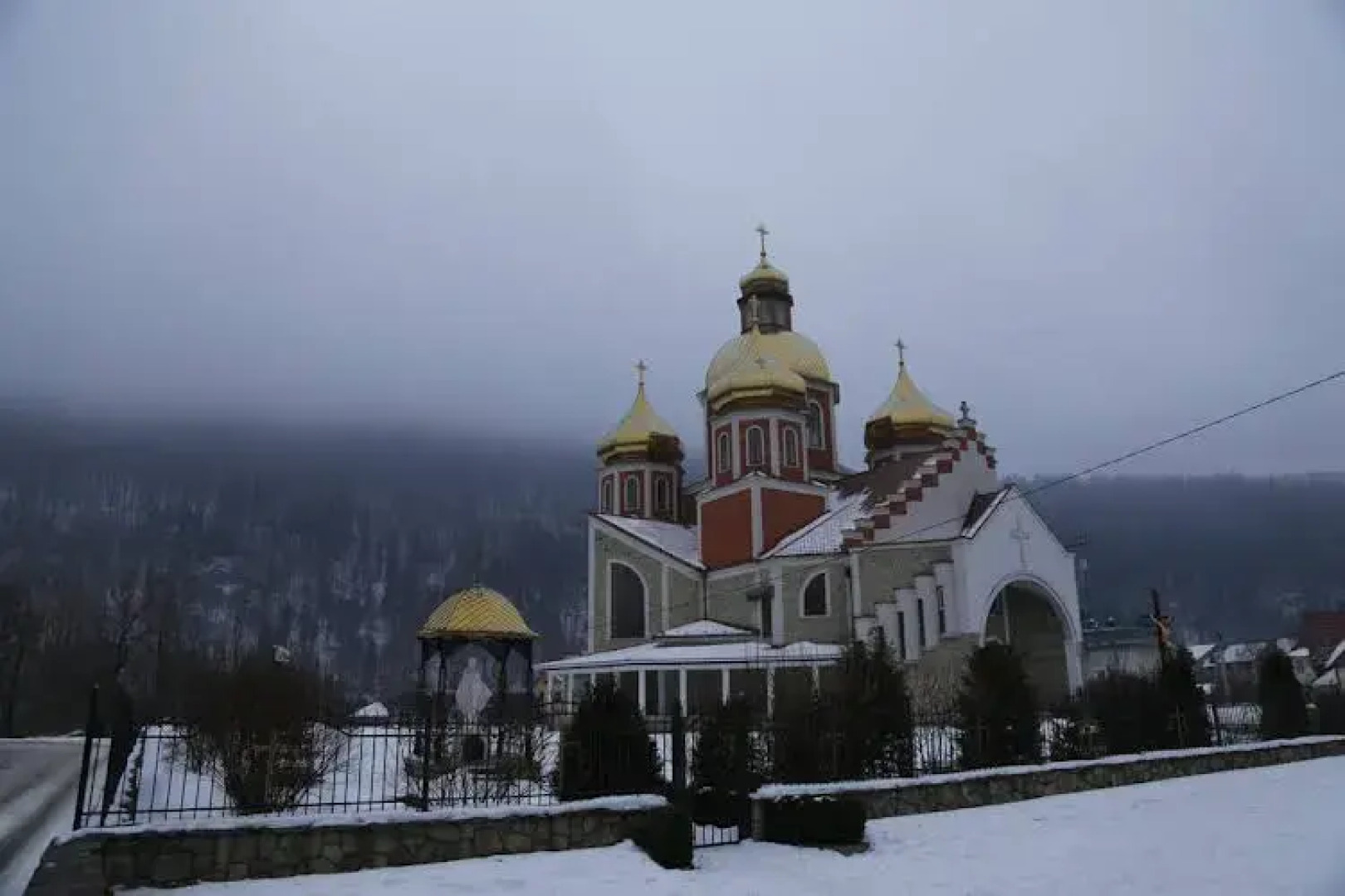 Цвит Папороти