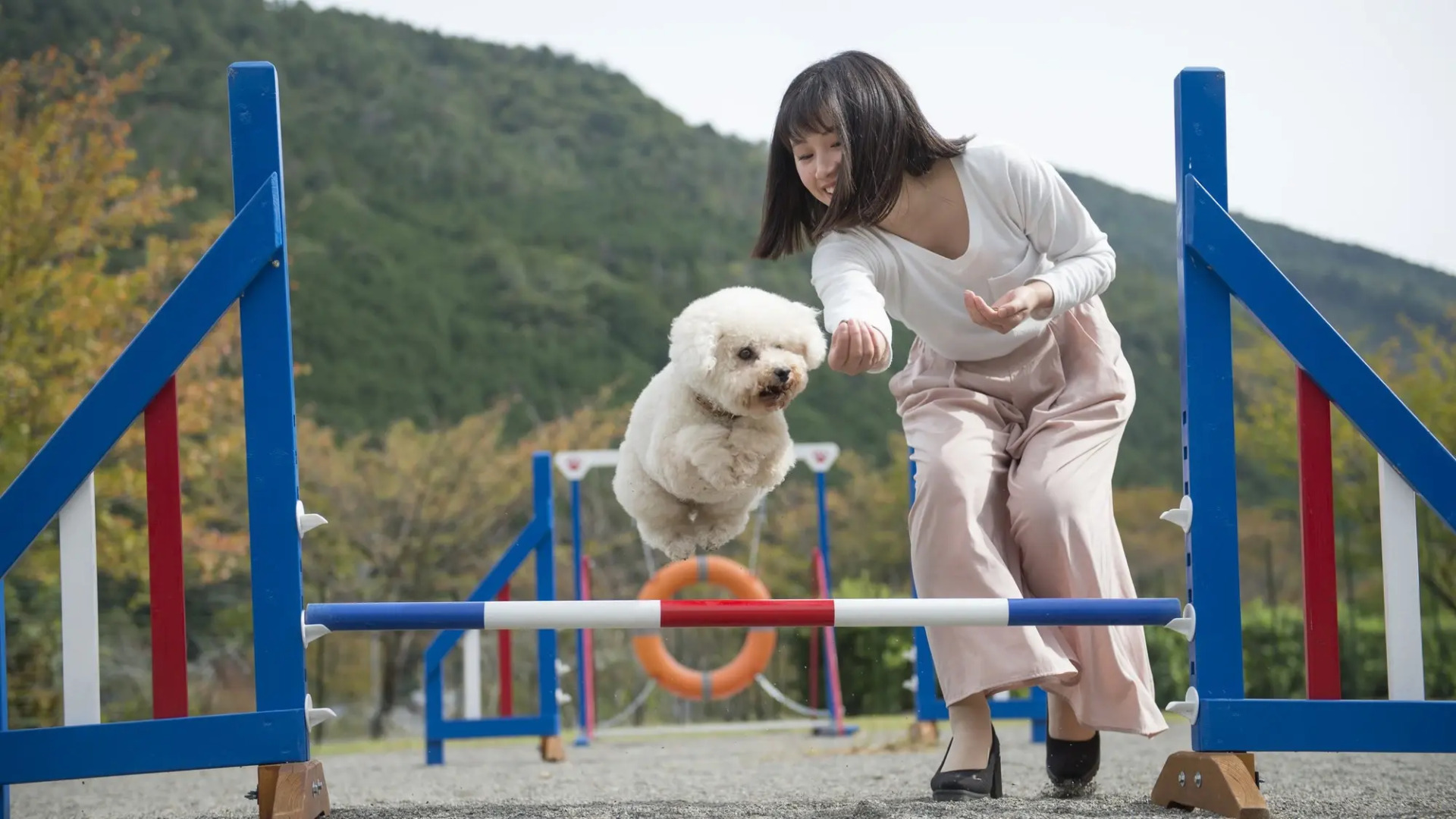 Matsusaka Wanwan Paradise Mori No Hotel