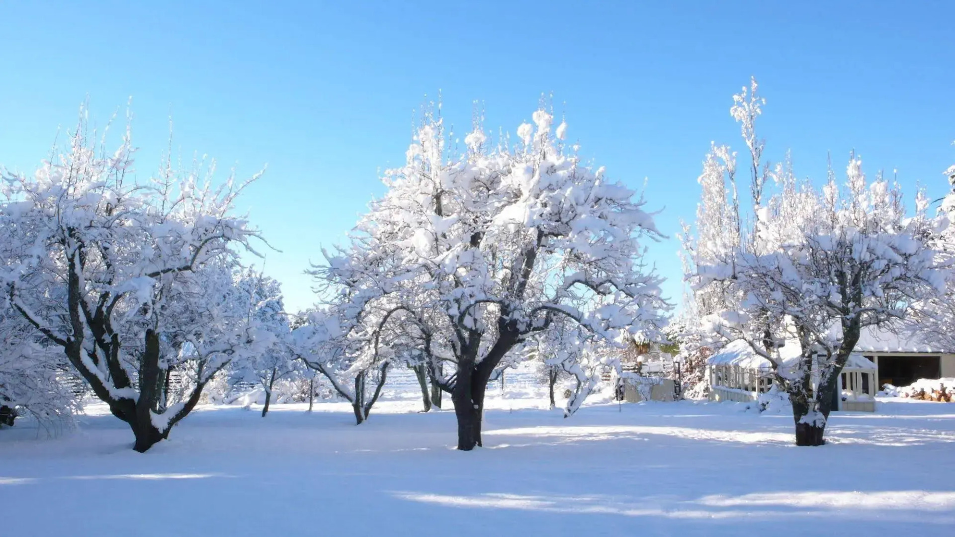 The Granary at Gunyah